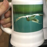 WhatsApp-Image-2017-10-26-at-4.43